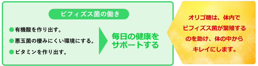 オリゴ糖は体内でビフィズス菌が繁殖するのを助け、体の中からキレイにします。